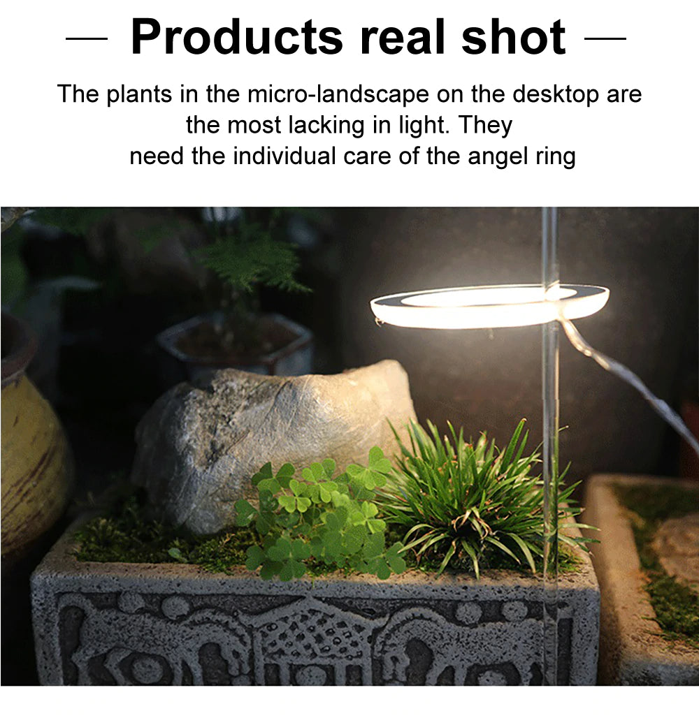 LED Grow Light Full Spectrum Phyto Grow Lamp USB Phyto Lamp for Plants Growth Lighting for Indoor Plant