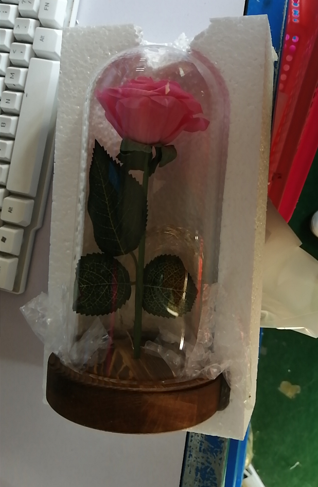 Enchanted Forever Rose Flower en luz LED de vidrio 