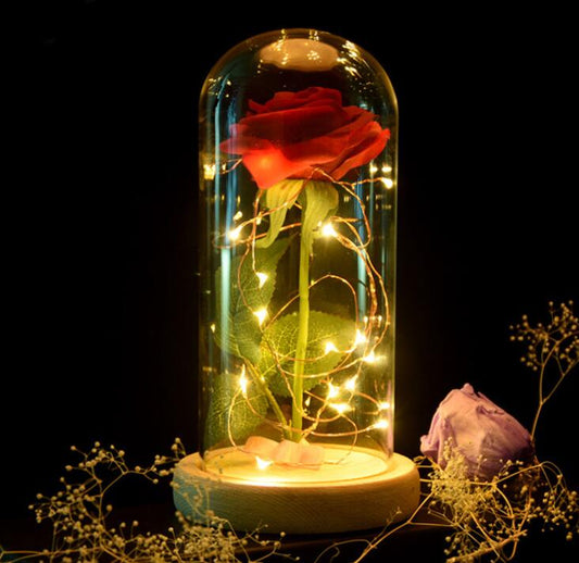 Enchanted Forever Rose Flower en luz LED de vidrio 