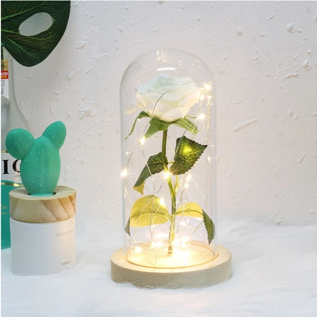 Enchanted Forever Rose Flower In Glass LED Light